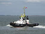 Die Britische Tug  CMS WARRIOR  im Terneuzen (Niederlande) - 29-08-2024