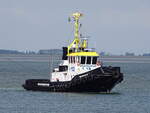 Die tug  MULTRATUG 13  - Terneuzen (NL) - 29-08-2024