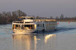 MS MONARCH PRINCESS der gate1 Travel begegnet der MS ASARA (Fotostandpunkt) auf dem Lek bei Langerak am 20.03.2025